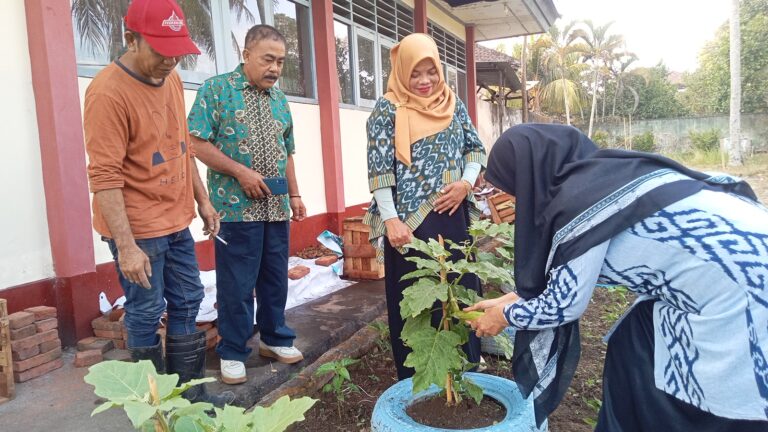 SMPN 1 Kuripan Kembangkan Kemandirian Pangan melalui Pemanfaatan Lahan Sekolah